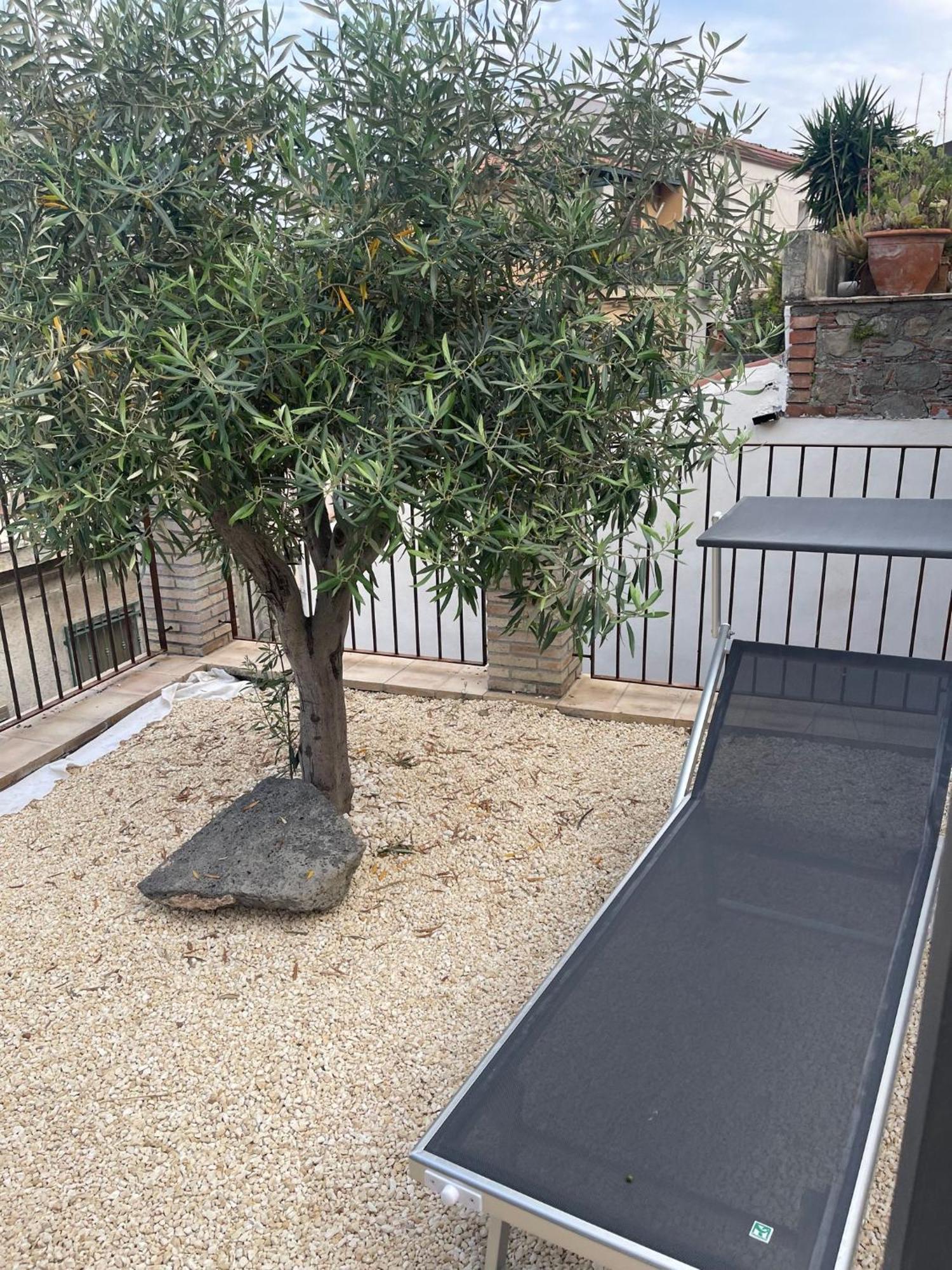 Bed and Breakfast Bed And Relax-Il Maniero Calatabiano Exterior foto